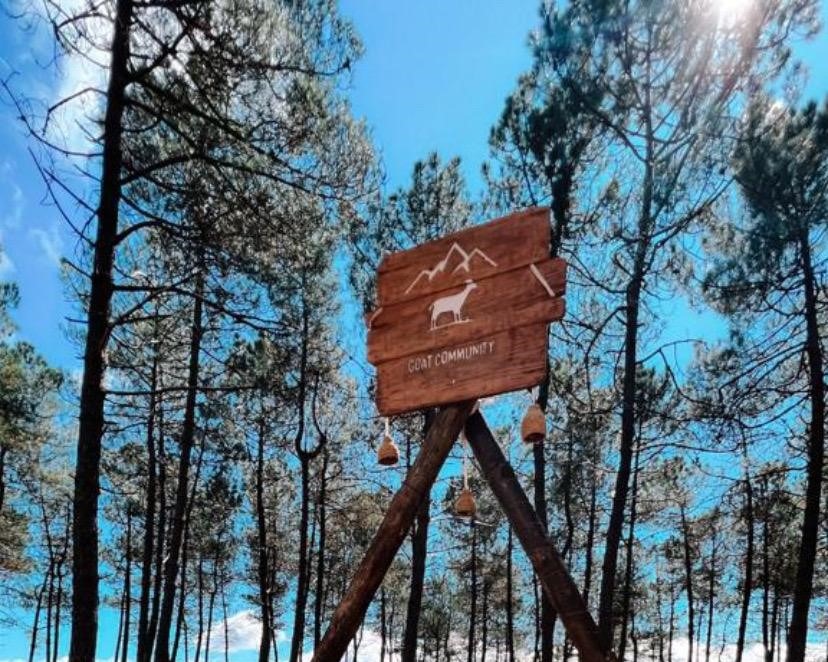 Read more about the article GOAT COMMUNITY 2023